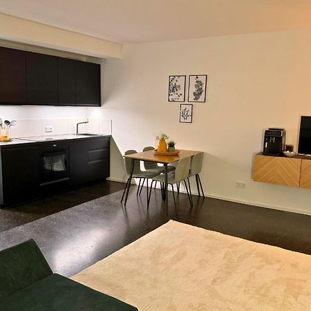 Isaak Apartment Stadtperle Waldshut-Tiengen Eksteriør billede