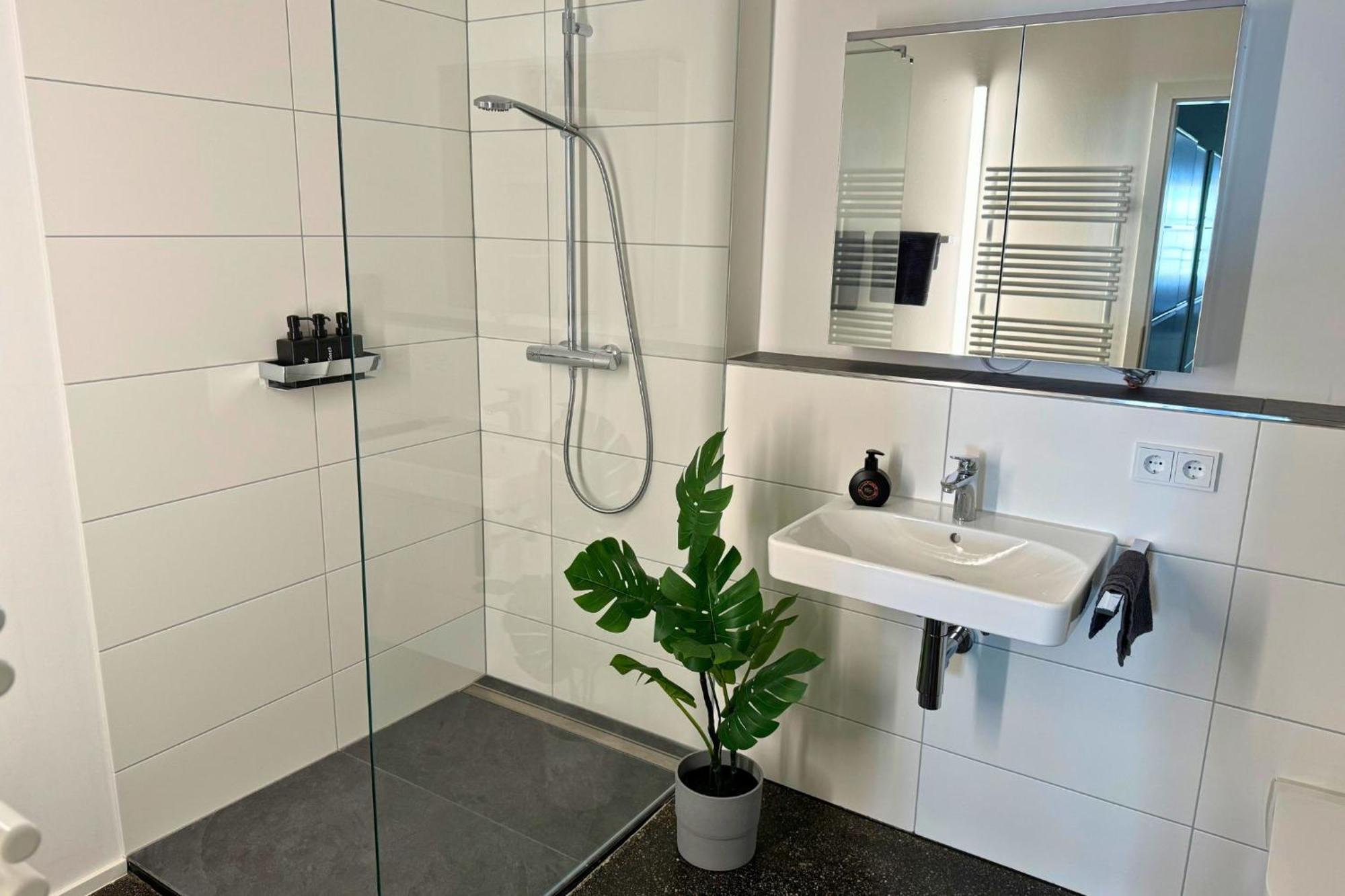 Isaak Apartment Stadtperle Waldshut-Tiengen Eksteriør billede