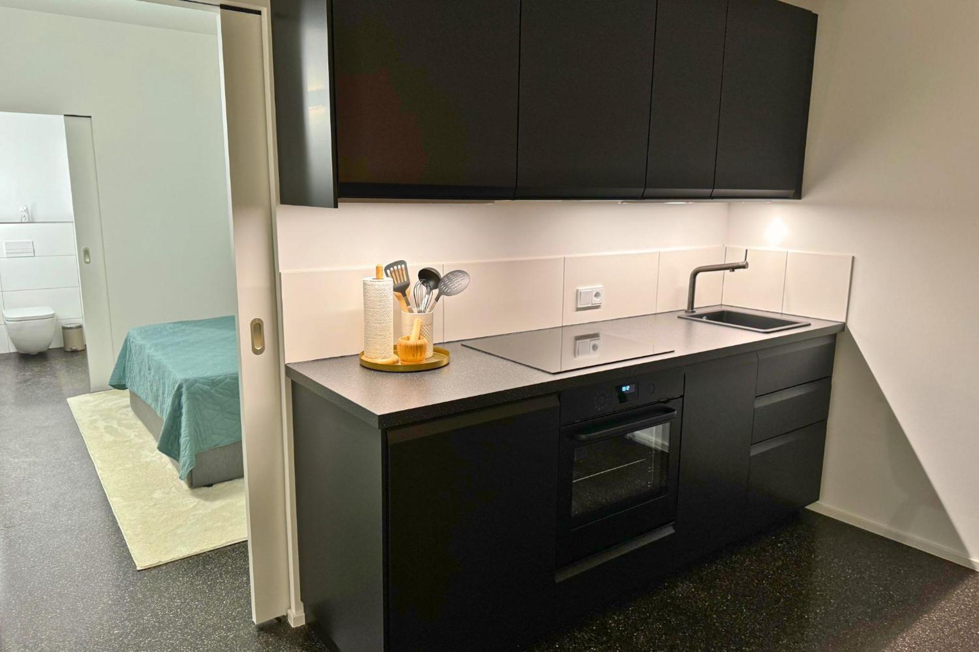 Isaak Apartment Stadtperle Waldshut-Tiengen Eksteriør billede