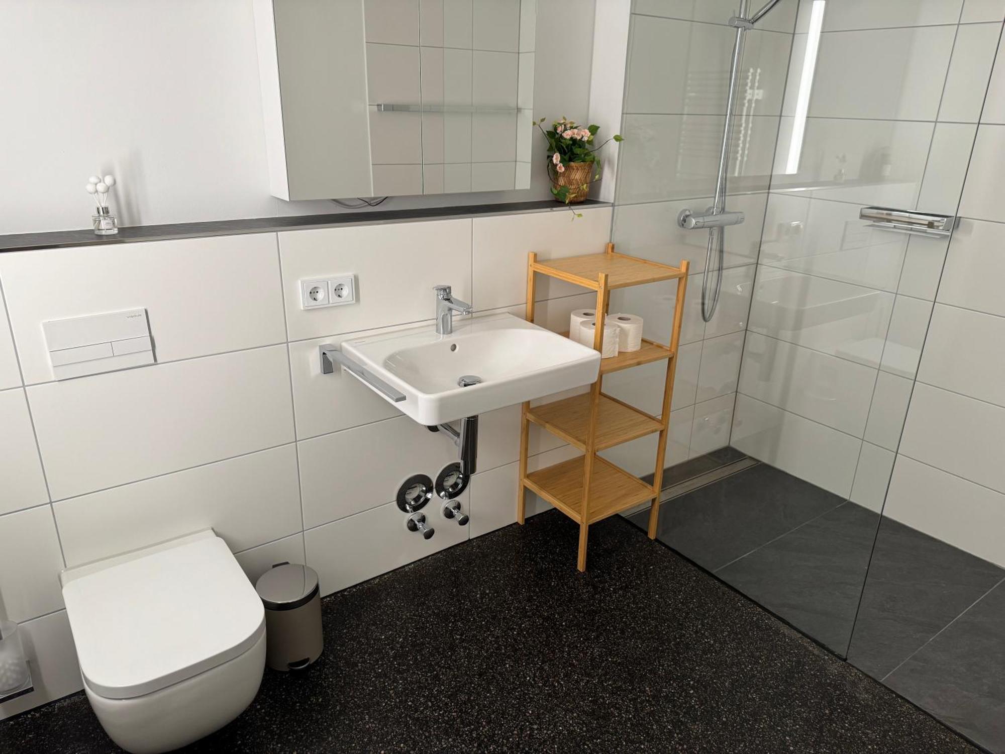 Isaak Apartment Stadtperle Waldshut-Tiengen Eksteriør billede